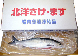 北洋産船凍品ベニザケ